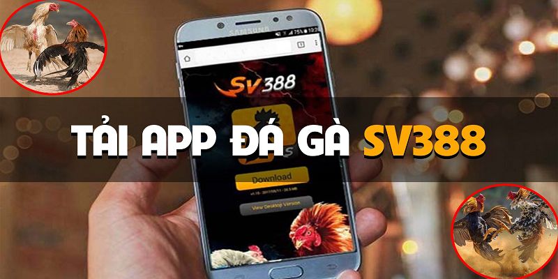 Tải ứng dụng SV388 cực nhanh chóng cho iOS